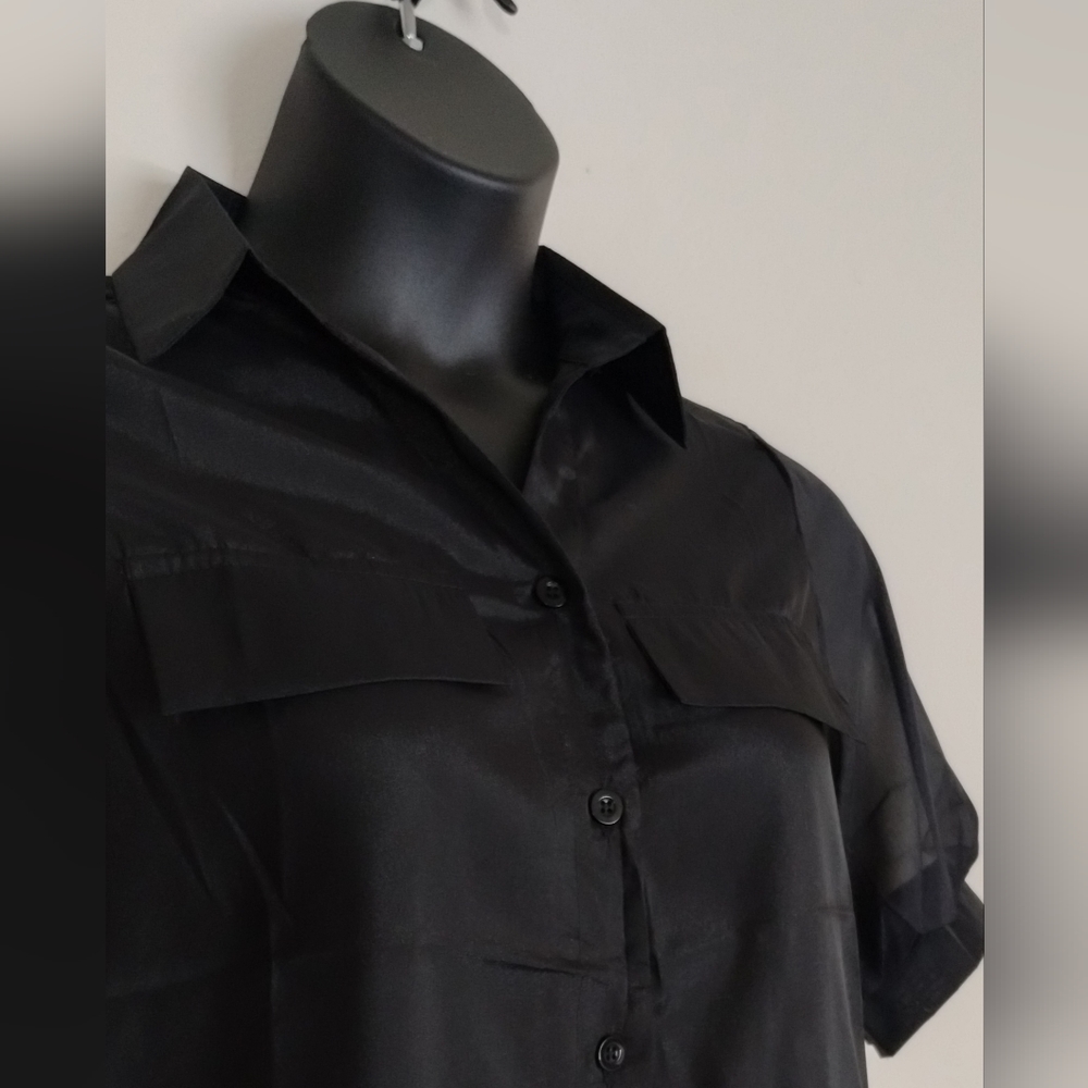 Sheer Blouse